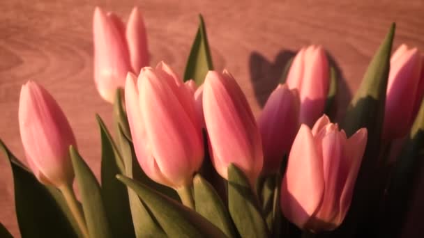 Rosa Tulpen Auf Einem Hölzernen Hintergrund Nahaufnahme Sonnenstrahlen — Stockvideo