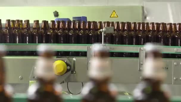 Ölflaskor Transportband Städning Bryggeri Närbild — Stockvideo