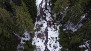 Dağlarda kış ormanı. Ladin ağaçları. Hava aracı görüntüsü.