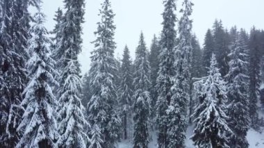 Kış ormanı ve dağları havadan. Kış manzarası. Hava aracı atışı. kar yağışıweather condition