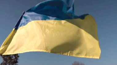 Bayrak direğinde Ukrayna bayrağı. Mavi gökyüzü arka planı. yavaş çekim