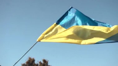 Genç adam Ukrayna bayrağını sahada tutuyor. Vatansever. yavaş çekim