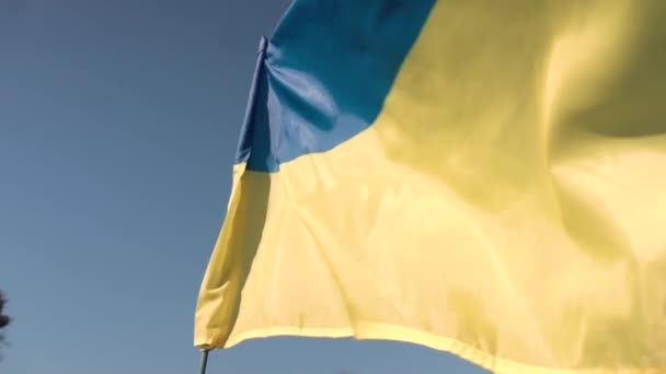 Unge man håller Ukrainas flagga ute på fältet. patriot. — Stockvideo