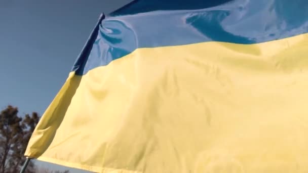 Bandera de Ucrania en un asta de la bandera. fondo cielo azul. — Vídeo de stock