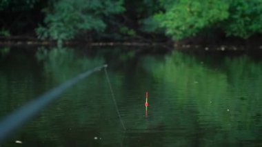 Resimli bir gölde oltada balık tutmak. Vahşi yaşam. yakın plan