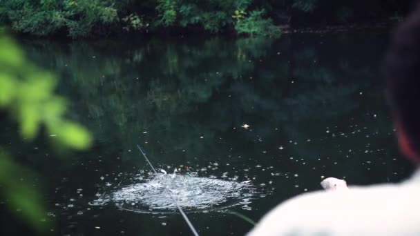 Homem Está Pescando Com Uma Vara Flutuante Lago Paisagem Isco — Vídeo de Stock