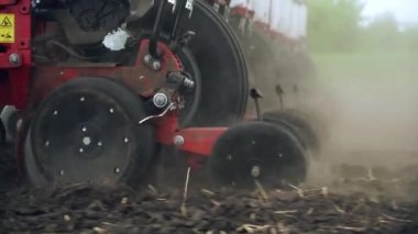 Tarlaya mısır tohumları ekiyor. Traktör bir ekiciyle tarlada çalışıyor..