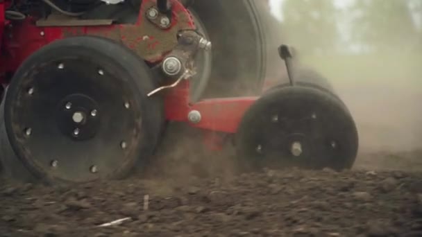Посіяти Поле Зернами Кукурудзи Трактор Працює Полі Сівалкою — стокове відео