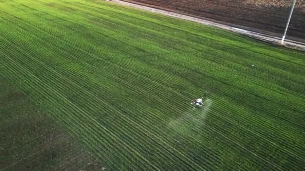 Antenne Agro Drohnen Arbeiten Auf Dem Feld Feldbehandlung Mit Chemikalien — Stockvideo