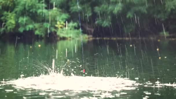 男は湖の上で浮き棒で釣りをしている 魚の餌だ — ストック動画