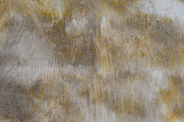 旧的混凝土墙面上有小黄斑苔藓 固体水泥墙纹理为背景 — 图库照片