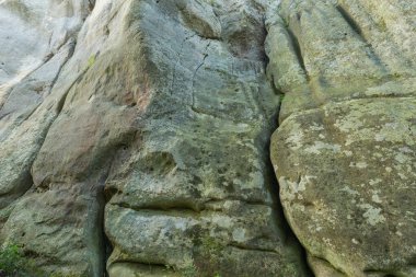 Polonya 'nın Podkarpackie Eyaleti Korczyna-Odrzykon kentindeki Kamieniec Kalesi' nde doğal kaya tırmanışı duvarı.