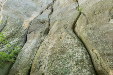 Doğal Kum Taşı Tırmanma Duvarı Korczyna-Odrzykon 'daki Kamieniec Kalesi, Podkarpackie Voyvodeship, Polonya