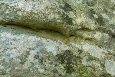 Przadki 'deki kaya dokusu (Spinners) doğa rezervi, Podkarpackie Eyaleti, Polonya