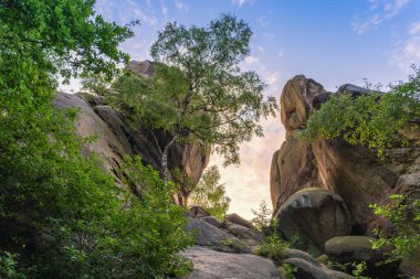 Przadki Doğa Koruma Alanı, Podkarpackie Eyaleti, Polonya 'da büyük bir kaya yatağı.
