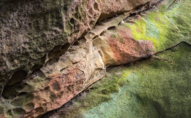 Przadki 'deki etkileyici kum taşı yapısının (Spinners) doğa rezervi, Podkarpackie Eyaleti, Polonya