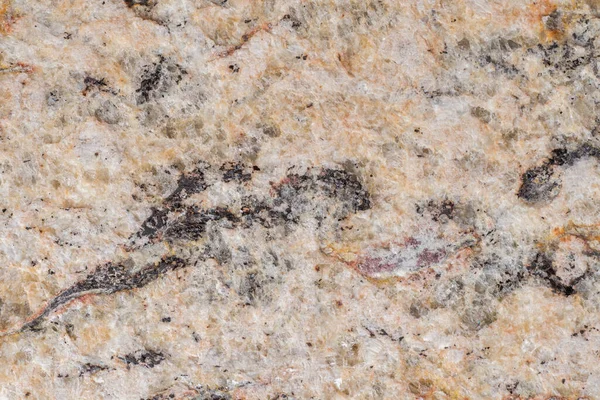 Granite slab closeup. Igneous rock structure for background