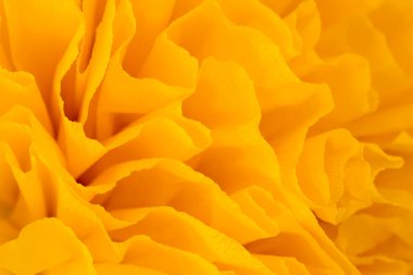 Sarı krep kağıdından yapılan soyut arkaplan dokusu.