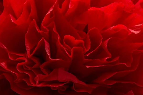 Textura Abstrata Ondulada Feita Papel Crepe Vermelho — Fotografia de Stock