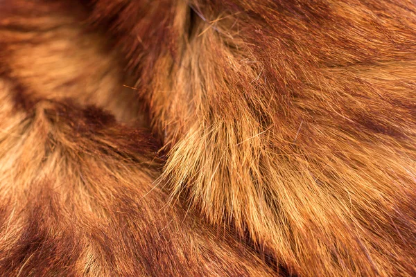 Full Frame Shot Brown Animal Hair Goat Coat Background — 스톡 사진
