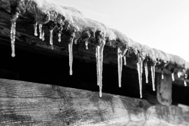 Ahırın çatısından sarkan buz saçakları. Kış manzarası siyah beyaz tonlarda. Kış arkaplanı.