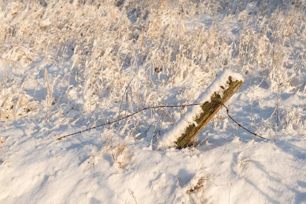 Snow Covered Agricultural Field Winter Grass Snow Demolished Barbed Wire — Photo