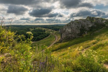 Hilly landscape with a Jurassic limestone rock formation in Cracow-Czestochowa Upland, Olsztyn, Silesian Voivodeship, Poland.