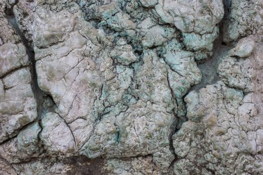 Çatlak, çatlak ve sızıntılı garip taş dokusu. Soyut desenli arkaplan.