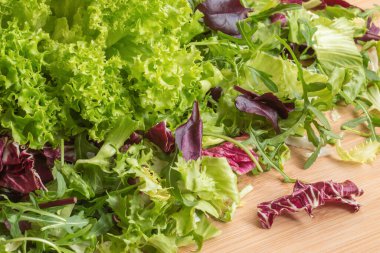 Karışık salata, radicchio, Batavia marulu, roka ve bambu kesme tahtasında taze pancar yaprakları..