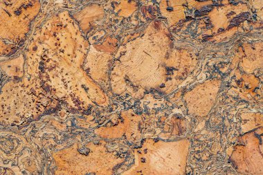 Dekoratif mantar kiremit dokusu. Duvar süslemeleri için doğal ahşap mantar çarşaf. Soyut arkaplan.