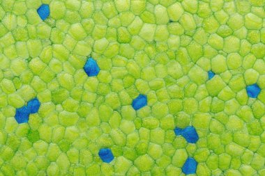 Bal peteği benzeri bir yapıya sahip polistiren köpük görüntüsü.