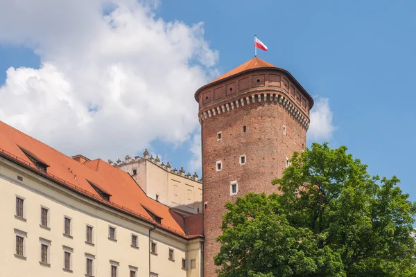 Cracow, Polonya - 4 Temmuz 2021: Güneşli bir günde Wawel Kraliyet Kalesi.
