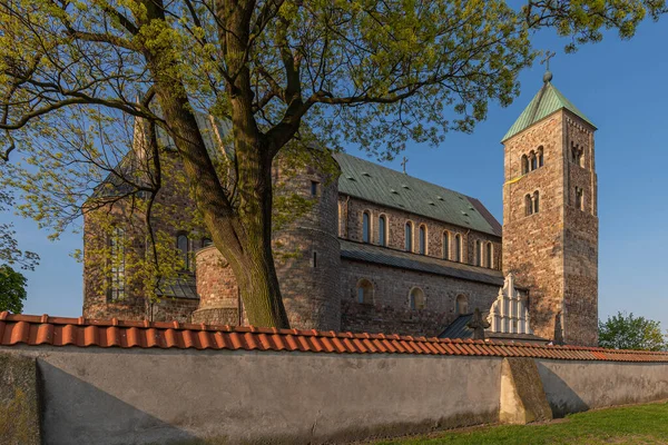 Tum Nära Leczyca Provinsen Lodz Polen Maj 2022 Morgonbild Det — Stockfoto