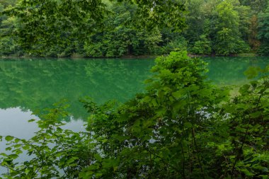 Szczecin 'deki Zümrüt Gölü, Batı Pomeranya Voyvoda, Polonya, Orta Avrupa