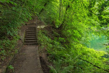 Zümrüt Lakeshore, Szczecin, Batı Pomeranya Voyvodalığı, Polonya, Orta Avrupa boyunca uzanan patika