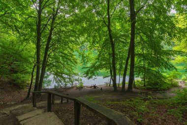 Zümrüt Gölü, Szczecin, Batı Pomeranya Voyvoda, Polonya, Orta Avrupa 'daki dinlenme yerine giden yol.