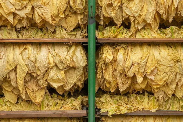 Drying tobacco leaves. Fire curing of tobacco leaves