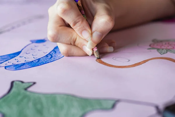 detailed view of the hand of a young college girl, painting with her colored pencils on a pink cardboard a drawing, her pencil is worn out. girl taking a painting class.