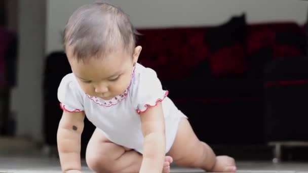 Belle Bébé Latina Peau Brune Explorant Seule Tout Apprenant Ramper — Video