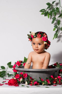 Kahverengi tenli güzel bir bebek, güllerle çevrili bir küvette oturuyor. Metni kopyalamak için beyaz arkaplan. Annelik ve erken çocukluk kavramı.