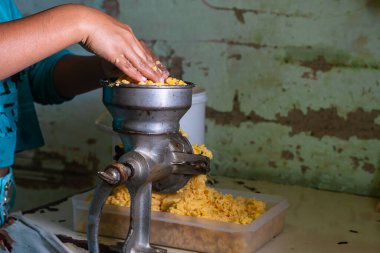 Genç Latin kadın, mısırı elleriyle öğütme makinesine koyuyor. Geleneksel bir Kolombiya çiftliğinde sarı arepaların hazırlanması.