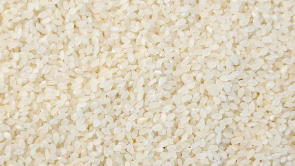 Texture of white uncooked rice. Short grains of white round-grain rice. Close up
