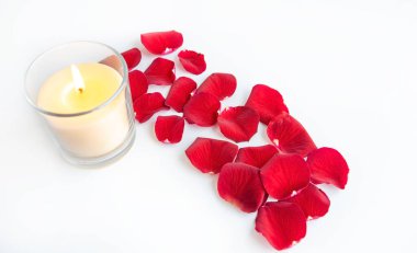 A candle flame with scattered red rose petals is lit on a white background