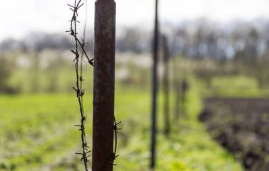 The division of green grass and black earth stretches an old barbed wire fence. Rusty barbed wire, division into black and white