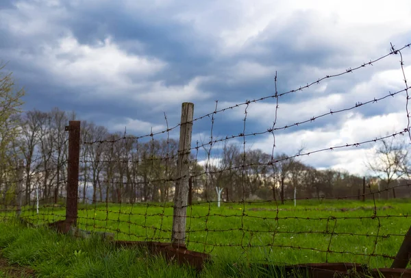 The division of green grass and black earth stretches an old barbed wire fence. Rusty barbed wire, division into black and white