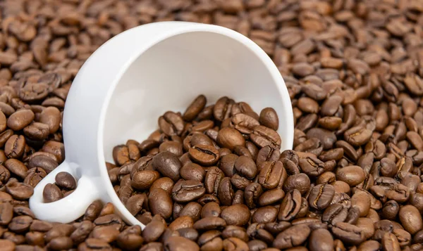 Coffee beans in a cup of coffee isolated on coffee beans