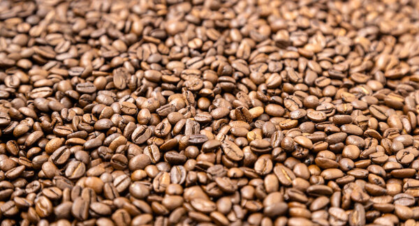 Texture of coffee beans photo background, focus on the edges of coffee beans