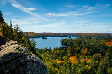 Sonbaharda Algonquin Park Panoraması - ağaçlar ve göl