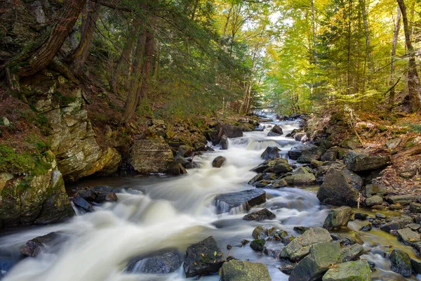 Ağaçlar ve taşlarla çevrili bir şelale.