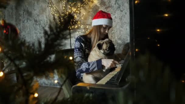 Дівчина-підліток грає різдвяну пісню на піаніно разом зі смішним мопсом, новорічним настроєм — стокове відео